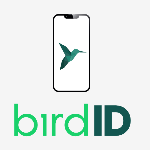 Bird ID